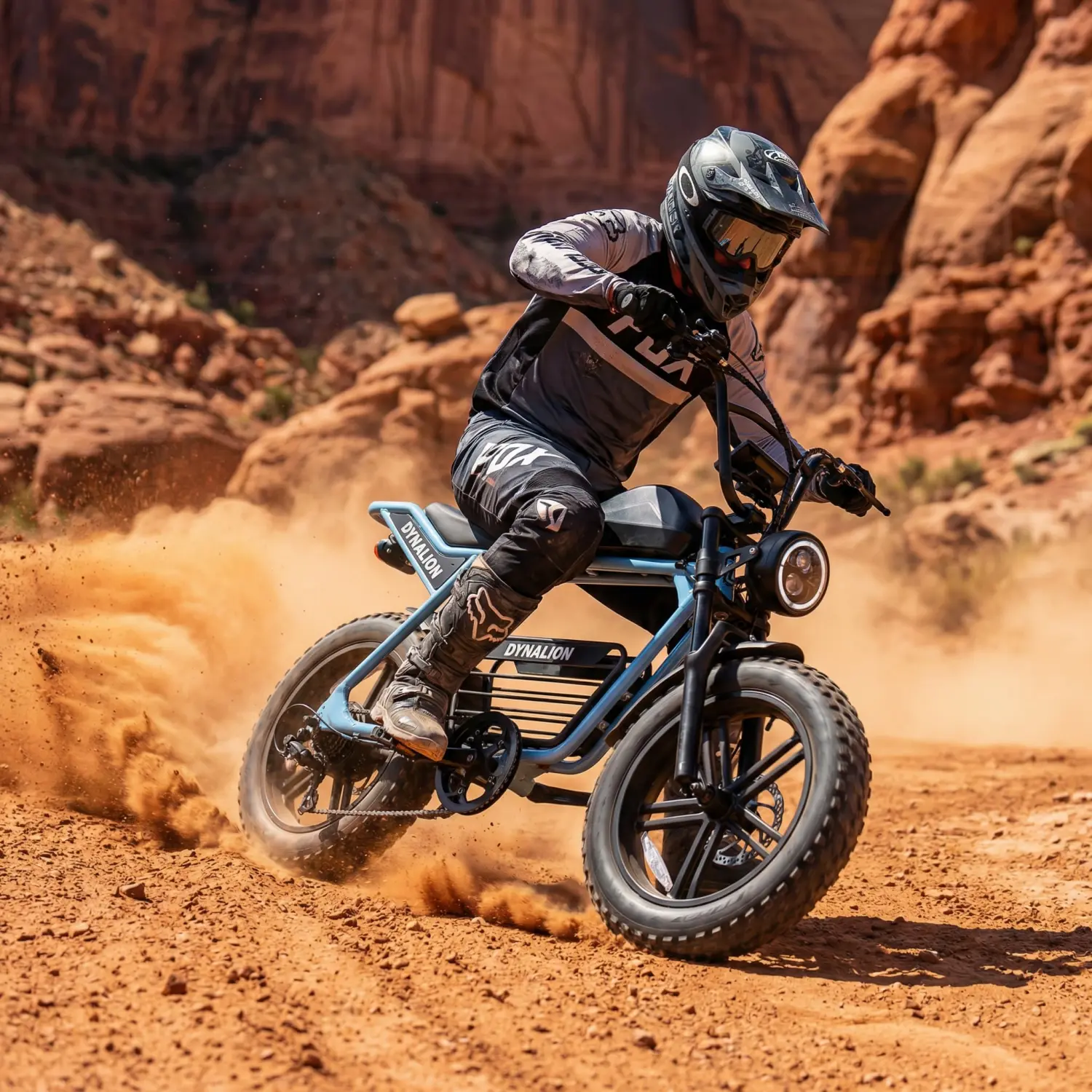 Fat Tire E-Bikes All Terrain