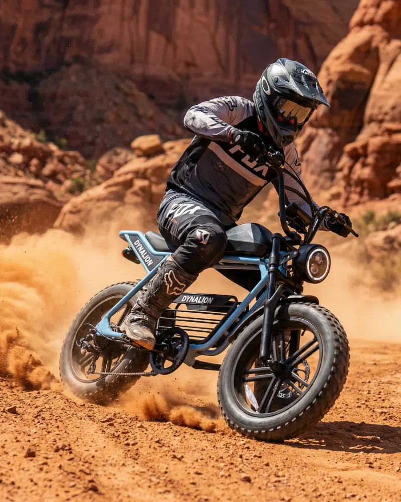 Fat Tire E-Bikes