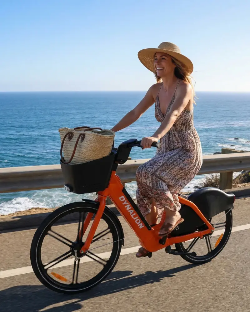 Shared E-Bikes